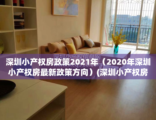 深圳小产权房政策2021年（2020年深圳小产权房最新政策方向）(深圳小产权房最新政策出台)