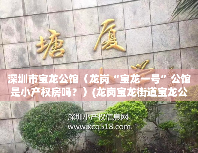 深圳市宝龙公馆（龙岗“宝龙一号”公馆是小产权房吗？）(龙岗宝龙街道宝龙公馆)