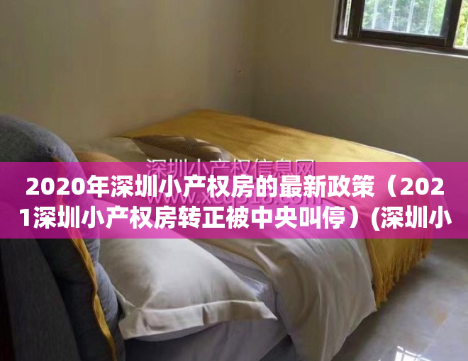 2020年深圳小产权房的最新政策（2021深圳小产权房转正被中央叫停）(深圳小产权怎么了)