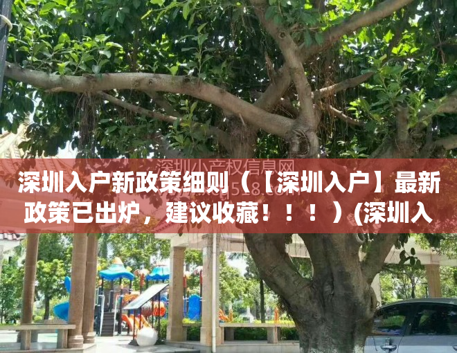 深圳入户新政策细则（【深圳入户】最新政策已出炉，建议收藏！！！）(深圳入户条件2021新规)