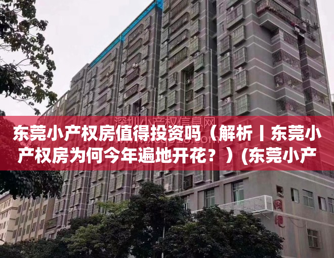 东莞小产权房值得投资吗（解析丨东莞小产权房为何今年遍地开花？）(东莞小产权好出手吗)