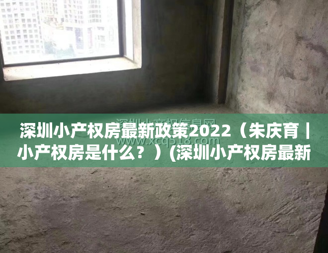 深圳小产权房最新政策2022（朱庆育｜小产权房是什么？）(深圳小产权房最新政策出台)