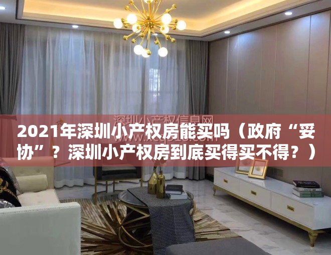 2021年深圳小产权房能买吗（政府“妥协”？深圳小产权房到底买得买不得？）