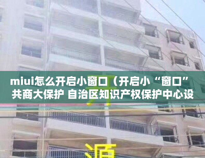 miui怎么开启小窗口（开启小“窗口” 共商大保护 自治区知识产权保护中心设立“知识产权检察保护联络点”）