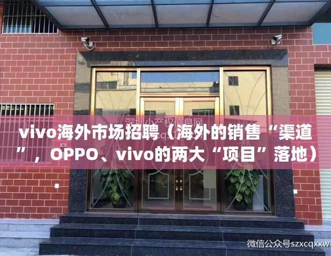 vivo海外市场招聘（海外的销售“渠道”，OPPO、vivo的两大“项目”落地）(vivo开拓海外市场)