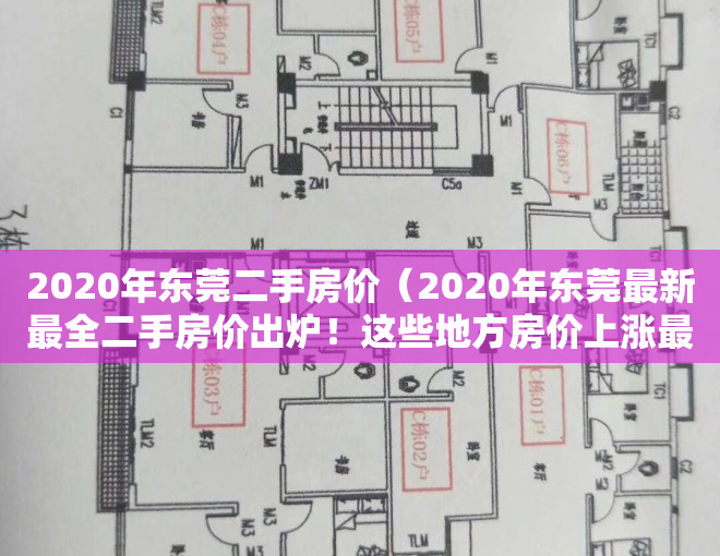 2020年东莞二手房价（2020年东莞最新最全二手房价出炉！这些地方房价上涨最快）