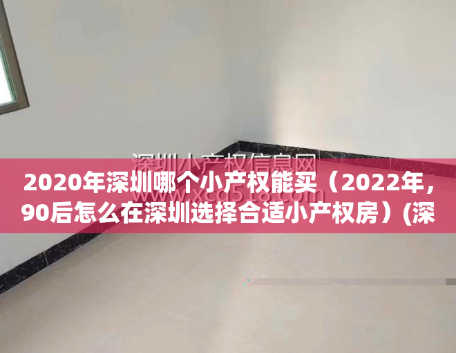 2020年深圳哪个小产权能买（2022年，90后怎么在深圳选择合适小产权房）(深圳哪里的小产权房值得买)