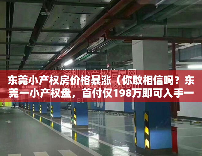 东莞小产权房价格暴涨（你敢相信吗？东莞一小产权盘，首付仅198万即可入手一套房，）