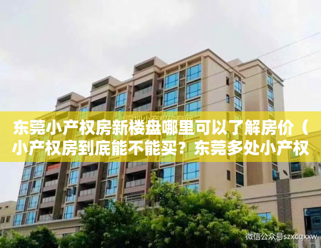 东莞小产权房新楼盘哪里可以了解房价（小产权房到底能不能买？东莞多处小产权房被拆…）