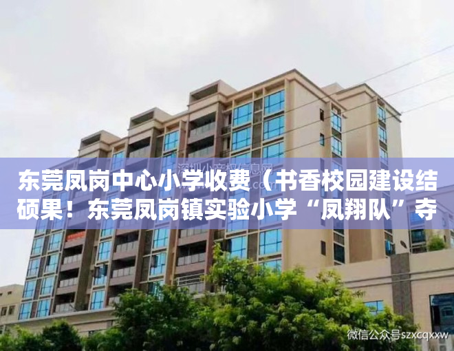 东莞凤岗中心小学收费（书香校园建设结硕果！东莞凤岗镇实验小学“凤翔队”夺得团体冠军）