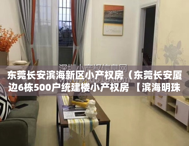 东莞长安滨海新区小产权房（东莞长安厦边6栋500户统建楼小产权房 【滨海明珠】花园   带车库）