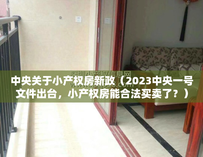 中央关于小产权房新政（2023中央一号文件出台，小产权房能合法买卖了？）