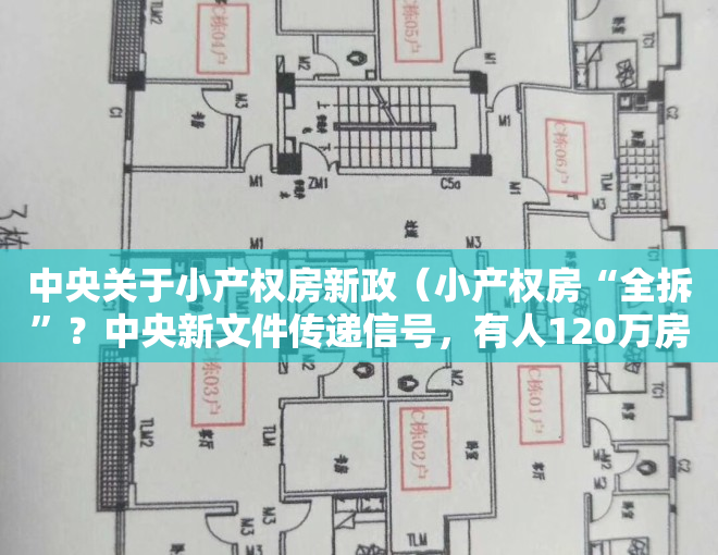 中央关于小产权房新政（小产权房“全拆”？中央新文件传递信号，有人120万房被拆无赔偿）