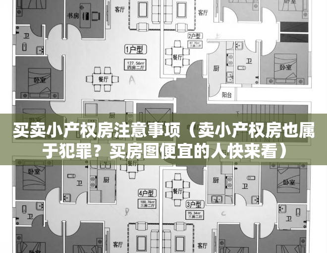 买卖小产权房注意事项（卖小产权房也属于犯罪？买房图便宜的人快来看）