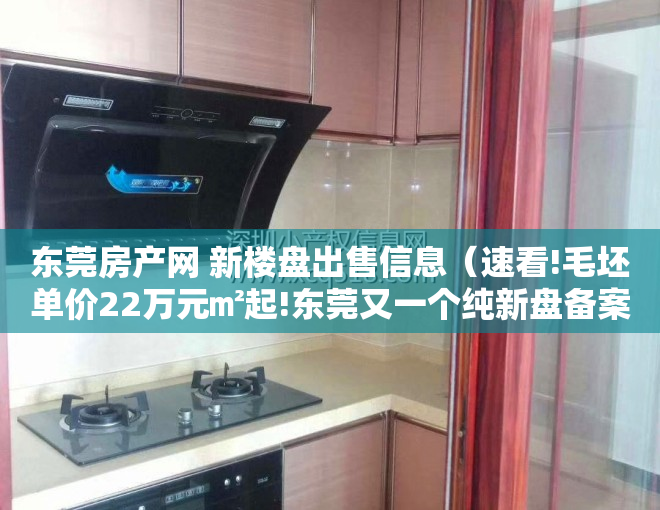 东莞房产网 新楼盘出售信息（速看!毛坯单价22万元㎡起!东莞又一个纯新盘备案了!）