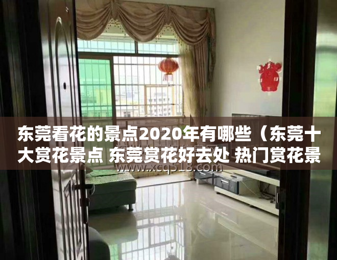 东莞看花的景点2020年有哪些（东莞十大赏花景点 东莞赏花好去处 热门赏花景点推荐）