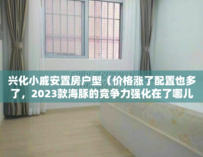 兴化小戚安置房户型（价格涨了配置也多了，2023款海豚的竞争力强化在了哪儿？）