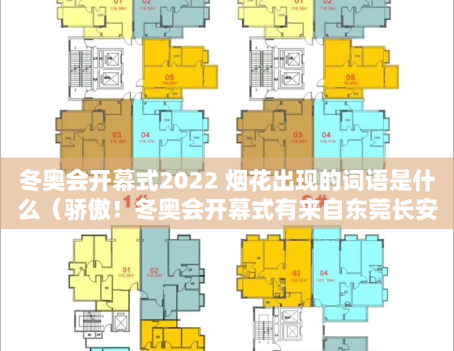 冬奥会开幕式2022 烟花出现的词语是什么（骄傲！冬奥会开幕式有来自东莞长安的两朵“小雪花”）