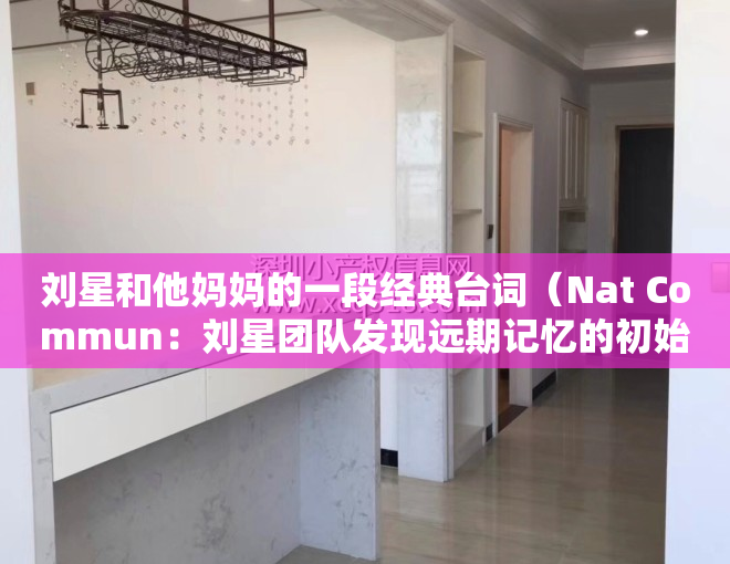 刘星和他妈妈的一段经典台词（Nat Commun：刘星团队发现远期记忆的初始标记和长期存储新机制）