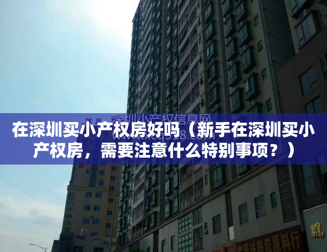 在深圳买小产权房好吗（新手在深圳买小产权房，需要注意什么特别事项？）