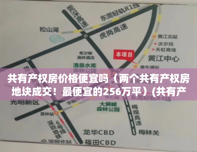 共有产权房价格便宜吗（两个共有产权房地块成交！最便宜的256万平）(共有产权房真的便宜吗)