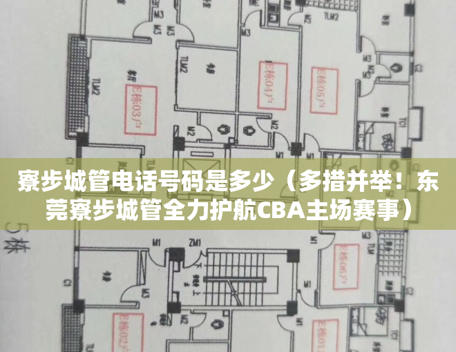 寮步城管电话号码是多少（多措并举！东莞寮步城管全力护航CBA主场赛事）