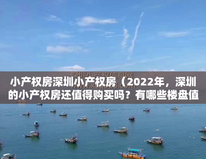 小产权房深圳小产权房（2022年，深圳的小产权房还值得购买吗？有哪些楼盘值得关注？）