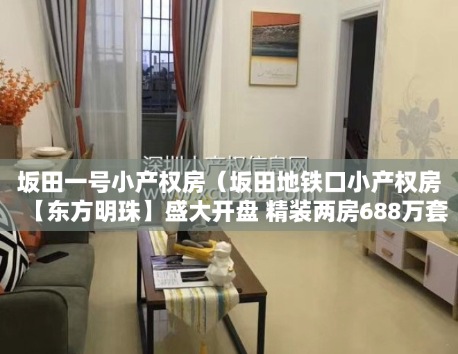 坂田一号小产权房（坂田地铁口小产权房【东方明珠】盛大开盘 精装两房688万套起）