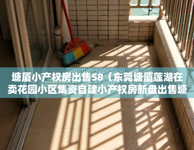 塘厦小产权房出售58（东莞塘厦莲湖在卖花园小区集资自建小产权房新盘出售塘厦天虹商场附近在卖集资自建小产权房出售现房可分期）