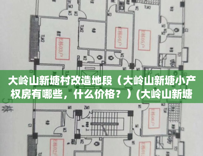 大岭山新塘村改造地段（大岭山新塘小产权房有哪些，什么价格？）(大岭山新塘村委会电话多少)