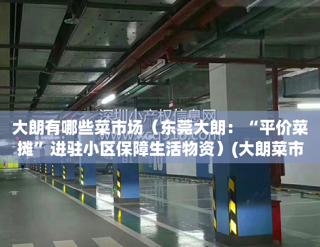 大朗有哪些菜市场（东莞大朗：“平价菜摊”进驻小区保障生活物资）(大朗菜市场批发市场在哪里)