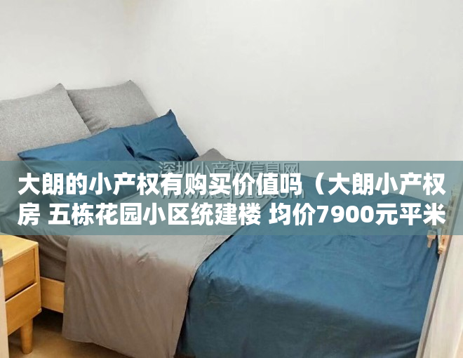 大朗的小产权有购买价值吗（大朗小产权房 五栋花园小区统建楼 均价7900元平米送装修 现房拎包即入住）