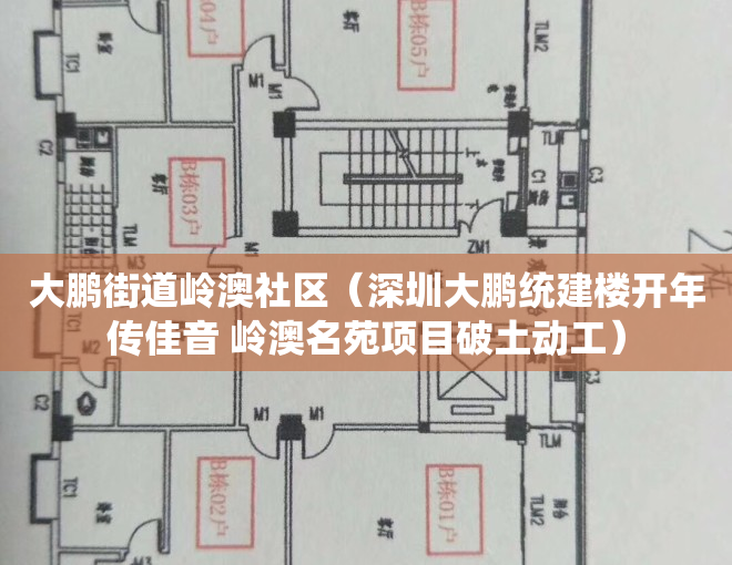 大鹏街道岭澳社区（深圳大鹏统建楼开年传佳音 岭澳名苑项目破土动工）