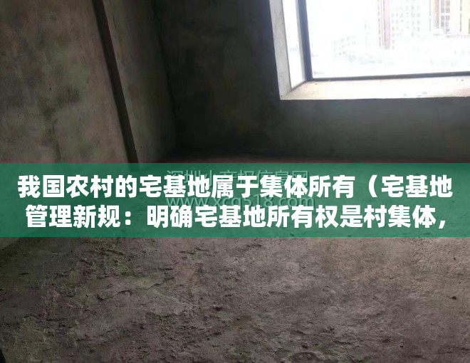 我国农村的宅基地属于集体所有（宅基地管理新规：明确宅基地所有权是村集体，不得买卖）