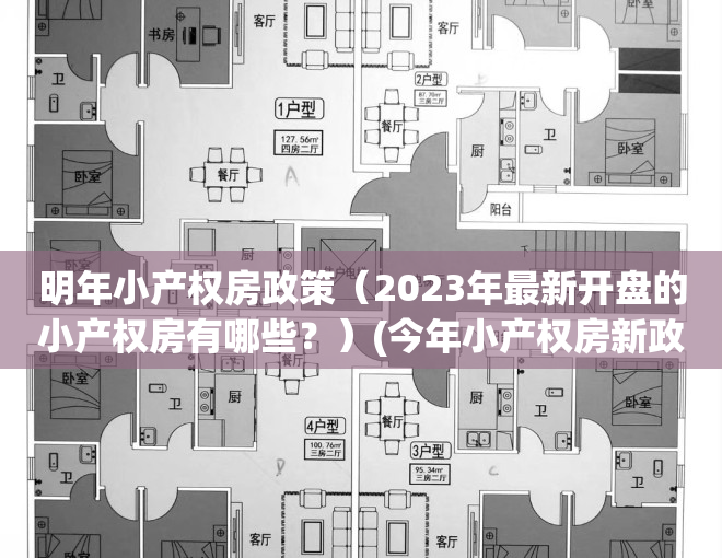 明年小产权房政策（2023年最新开盘的小产权房有哪些？）(今年小产权房新政策)