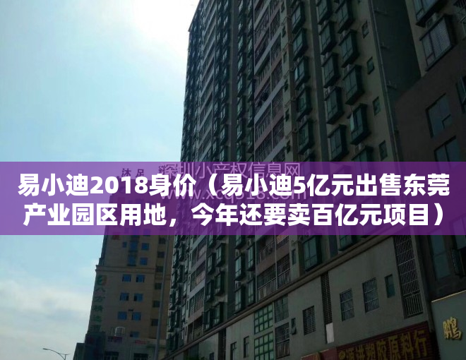 易小迪2018身价（易小迪5亿元出售东莞产业园区用地，今年还要卖百亿元项目）