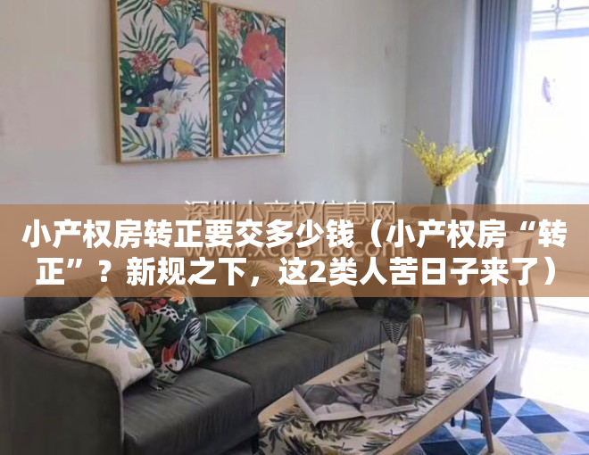 小产权房转正要交多少钱（小产权房“转正”？新规之下，这2类人苦日子来了）