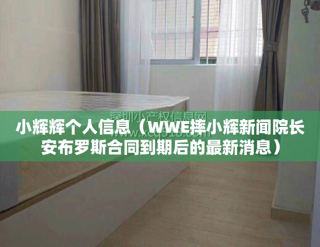 小辉辉个人信息（WWE摔小辉新闻院长安布罗斯合同到期后的最新消息）