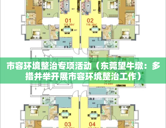 市容环境整治专项活动（东莞望牛墩：多措并举开展市容环境整治工作）