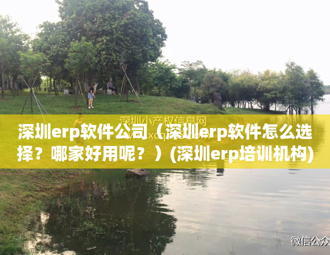 深圳erp软件公司（深圳erp软件怎么选择？哪家好用呢？）(深圳erp培训机构)