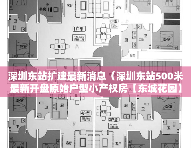 深圳东站扩建最新消息（深圳东站500米最新开盘原始户型小产权房【东城花园】精装电梯房，总价328万起，分期10年，手续齐全）