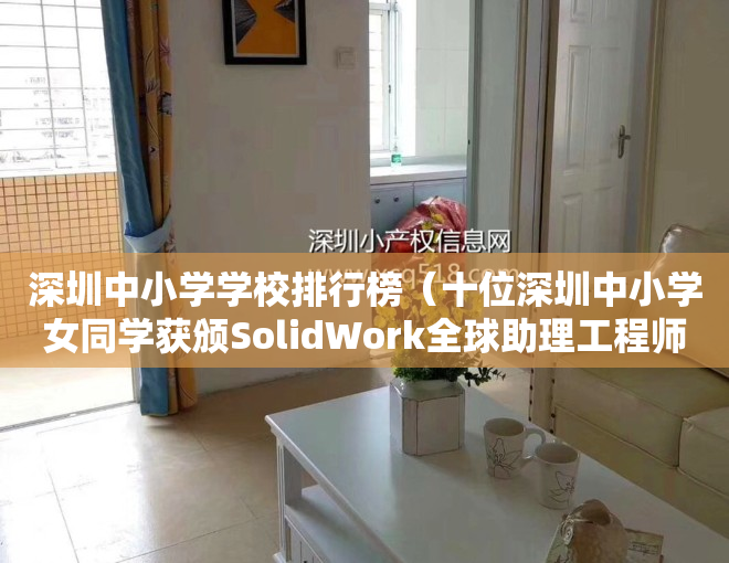 深圳中小学学校排行榜（十位深圳中小学女同学获颁SolidWork全球助理工程师证书）