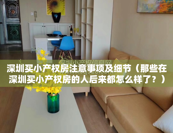 深圳买小产权房注意事项及细节（那些在深圳买小产权房的人后来都怎么样了？）