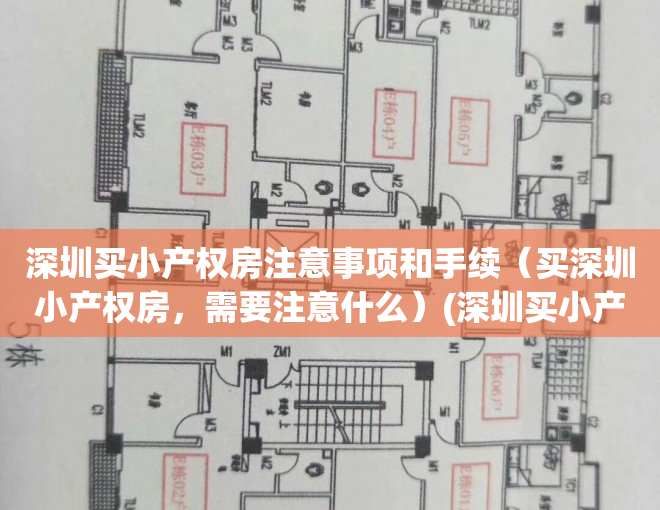 深圳买小产权房注意事项和手续（买深圳小产权房，需要注意什么）(深圳买小产权房要什么条件)