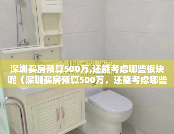 深圳买房预算500万,还能考虑哪些板块呢（深圳买房预算500万，还能考虑哪些板块？）