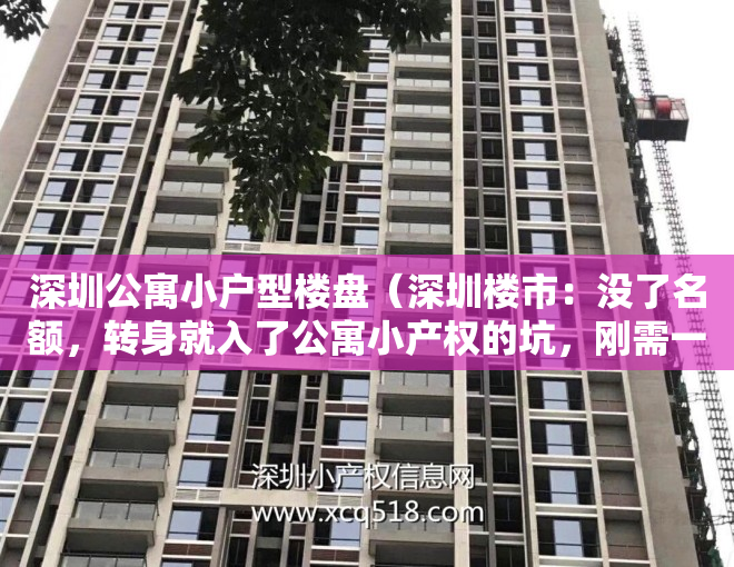 深圳公寓小户型楼盘（深圳楼市：没了名额，转身就入了公寓小产权的坑，刚需一定要注意）