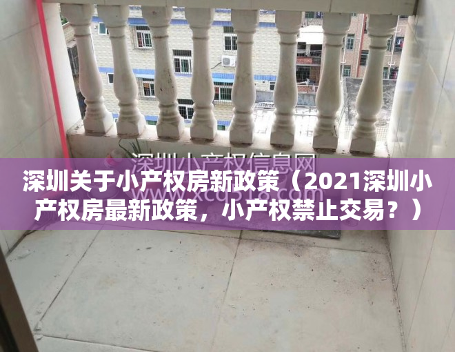 深圳关于小产权房新政策（2021深圳小产权房最新政策，小产权禁止交易？）