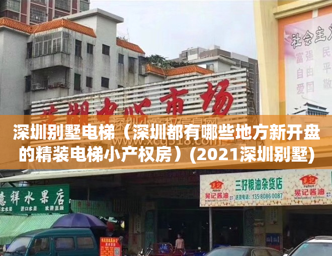 深圳别墅电梯（深圳都有哪些地方新开盘的精装电梯小产权房）(2021深圳别墅)