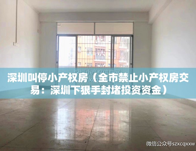 深圳叫停小产权房（全市禁止小产权房交易：深圳下狠手封堵投资资金）