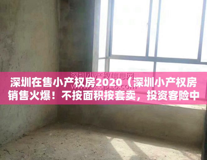 深圳在售小产权房2020（深圳小产权房销售火爆！不按面积按套卖，投资客险中求富……）